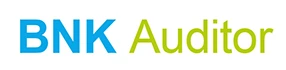 BNK Auditor Logo